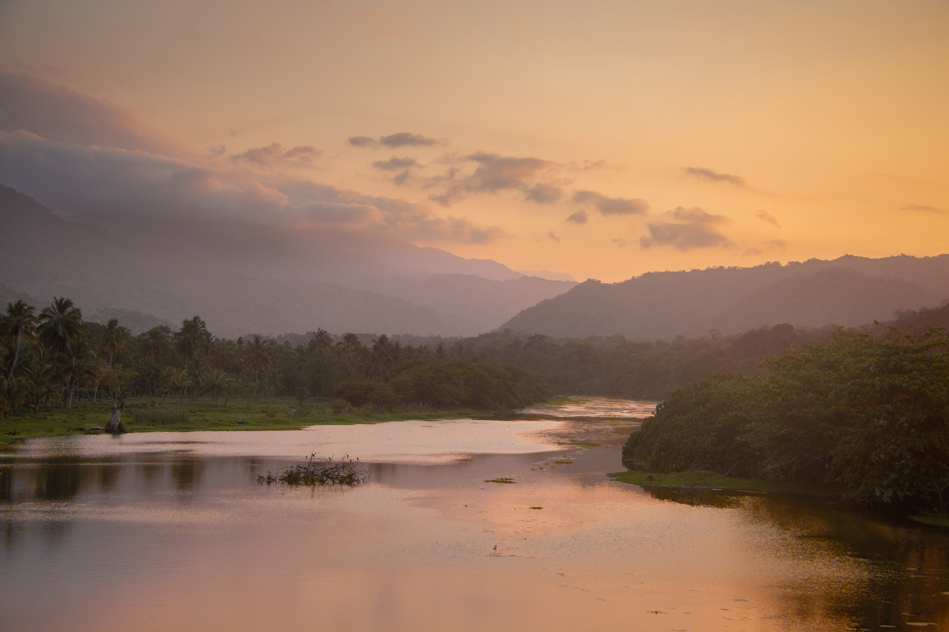 Jungle River