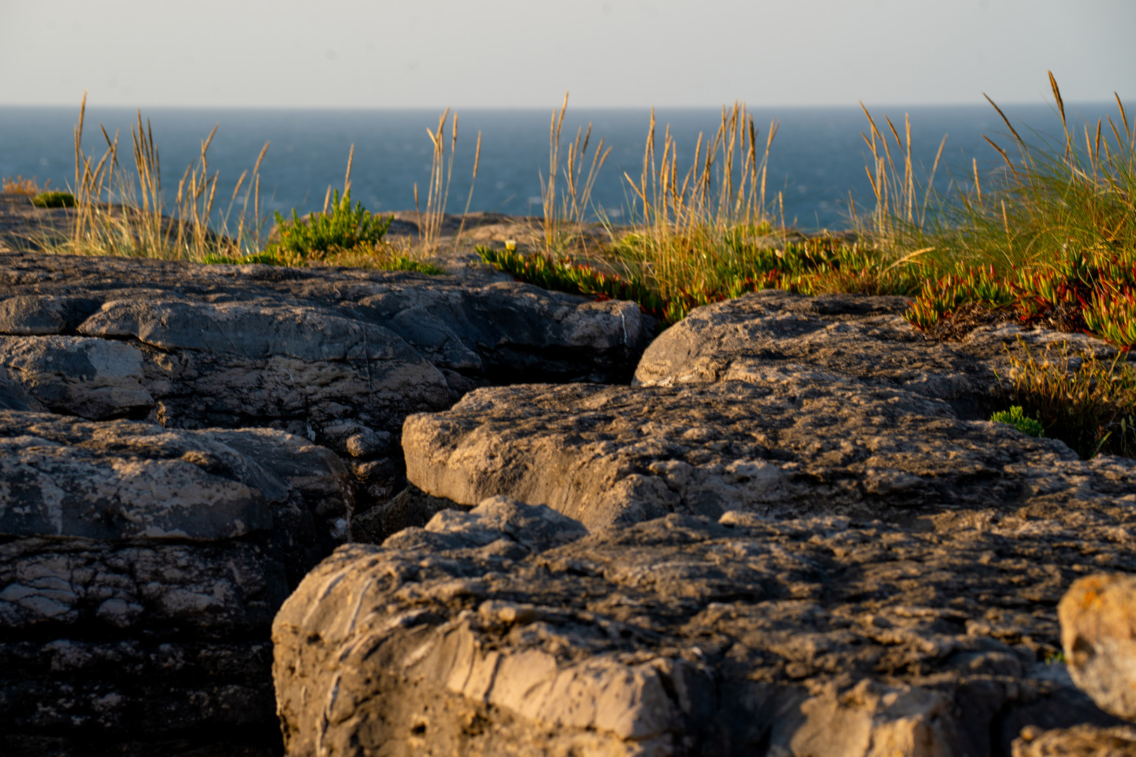 Coastal Rocks