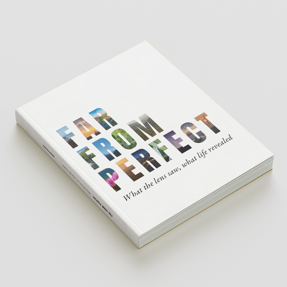 Book Far from Perfect